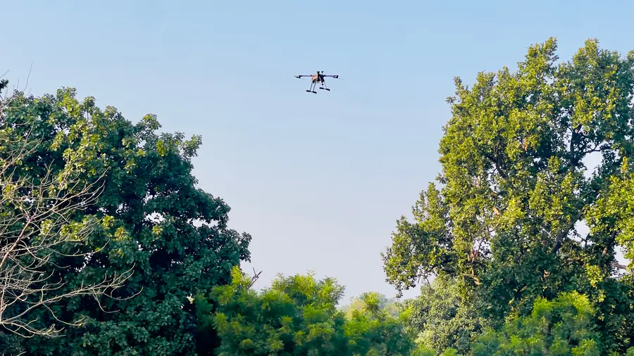 Drone survey above an Indian forest canopy